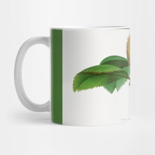 Vintage Seychelles palm tree print Mug